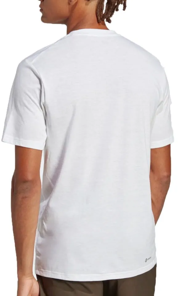 Camiseta adidas Seasonal Logo Training shirt