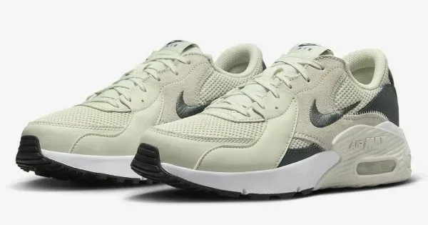 Nike WMNS Air Max Excee CD5432 011
